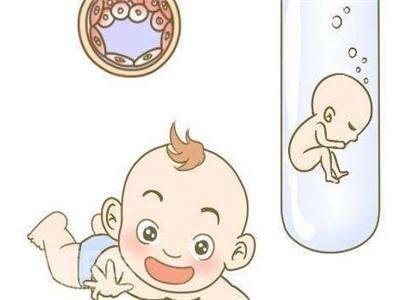 代生男孩价格